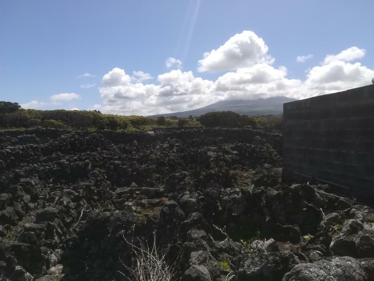 Adega Dos Virgilios Villa Madalena  Bagian luar foto